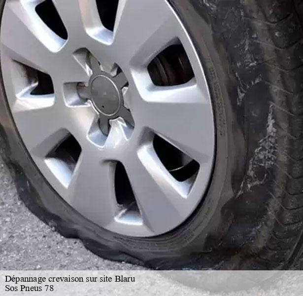 etablissement-pour-depannage-crevaison-sur-site-blaru-78270-1