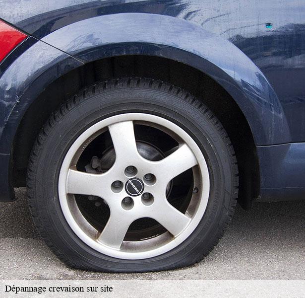etablissement-pour-depannage-crevaison-sur-site-saint-hubert-le-roi-78690-3