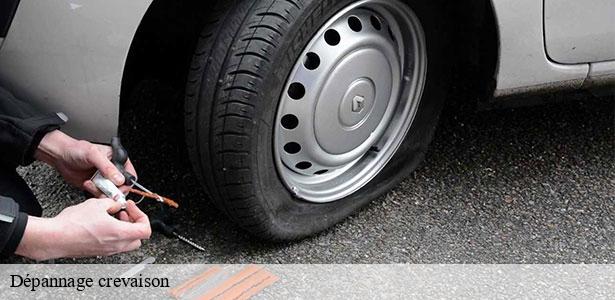 prestations-de-depannage-crevaison-le-mesnil-saint-denis-78320-6